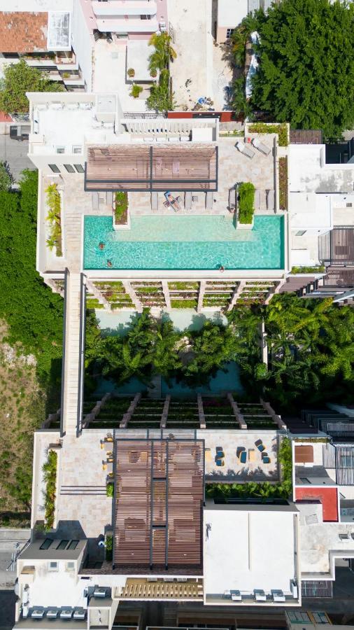 Maravilloso Estudio En Playa Rooftop-Pool-Bbq & Gym By Yeah Playa del Carmen Buitenkant foto